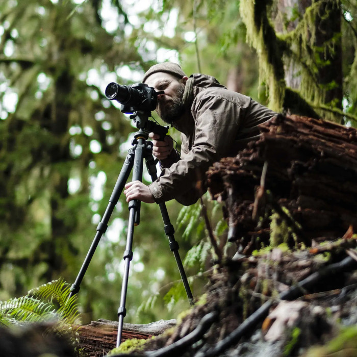 Штатив Vanguard Alta Pro 2+ 263CGHT (Alta Pro 2+ 263CGHT)  