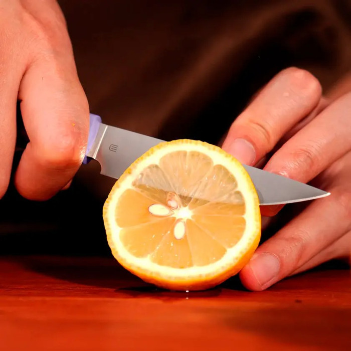 Нож кухонный Butterfork Paring Knife AR-RPM9 ABS Mist Violet  