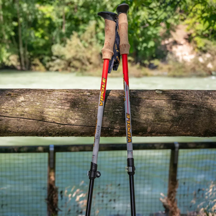 Палки трекинговые Vipole Trekker Cork (S25 09)  