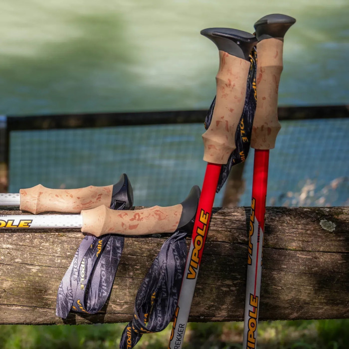 Палки трекинговые Vipole Trekker Cork (S25 09)  
