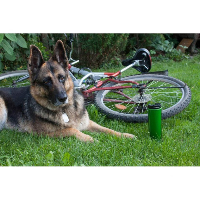 Термокружка Aladdin Insulated 0.47 л зеленая  