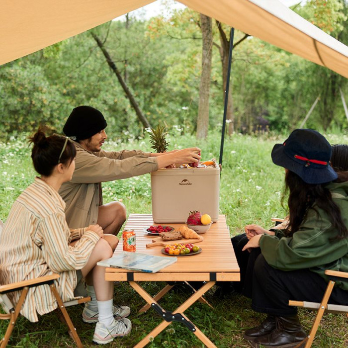 Туристический холодильник Naturehike CNK2300BS011, 13 л, бежевый  