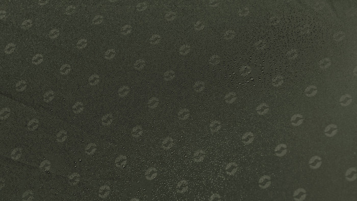 Палатка Outwell Rosedale 4PA зеленая (111178)  