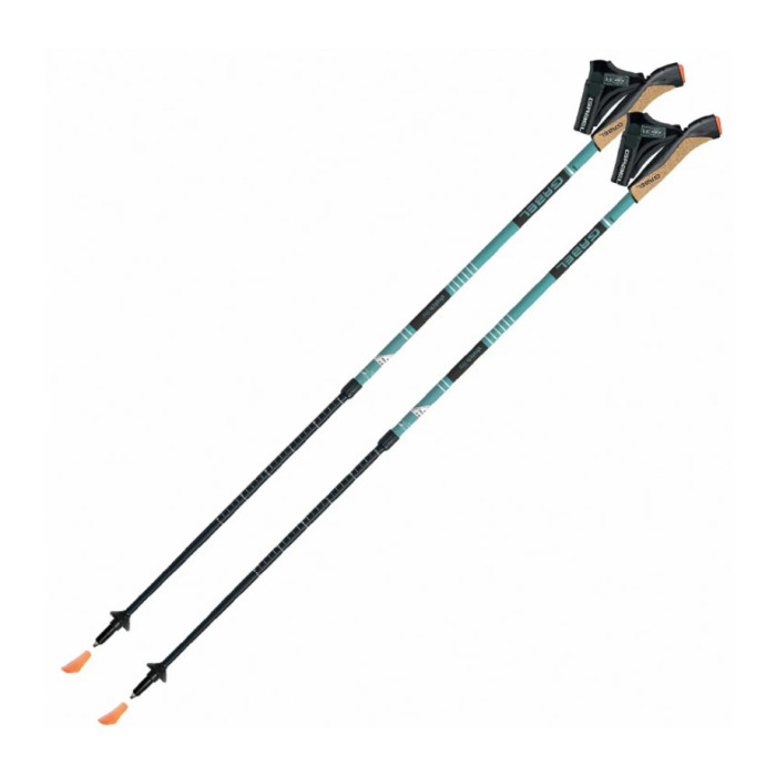 Палки для скандинавской ходьбы Gabel Stretch Lite Avio (7008352622000) 