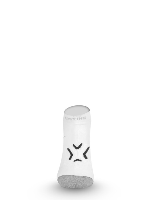 Носки Lasting RUN 009, M  