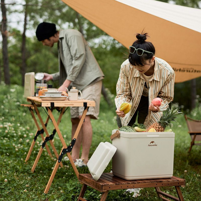 Туристический холодильник Naturehike CNK2300BS011, 24 л, бежевый  