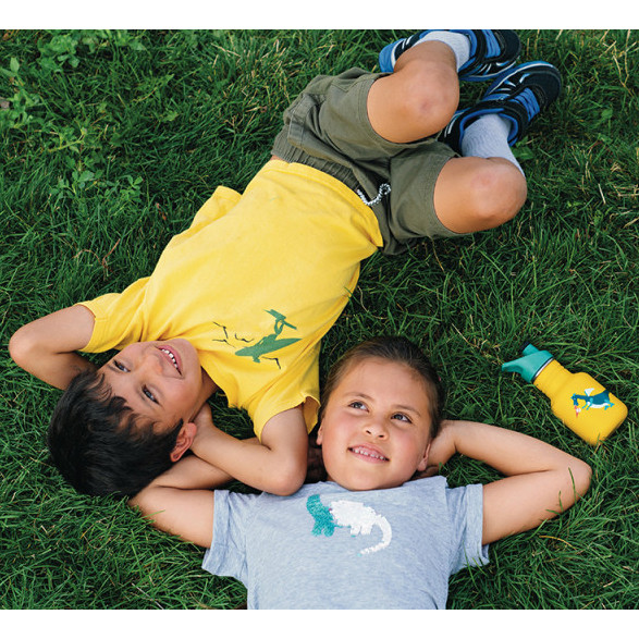 Бутылка для воды Kid Kanteen Classic Sport Cap Dragon Snack Matt 355 мл  