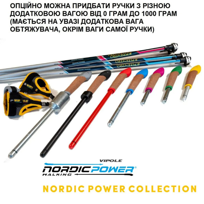 Секция палок для скандинавской ходьбы Vipole Asta Power Steps Blue 120 (SW20 01)  