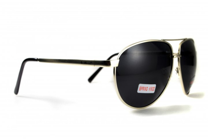 Очки поляризационные BluWater AirForce GunMetal Polarized (gray), чёрные линзы в серой металлической оправе  