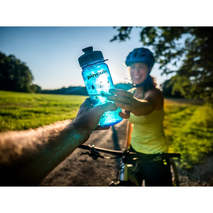 Фляга Pinguin Tritan Sport Bottle 2020 BPA-free, 0,65 L, Grey (PNG 805482)  