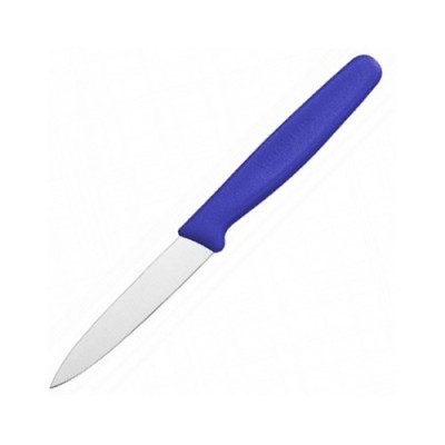 Нож кухонный Victorinox Paring для чистки Vx50602