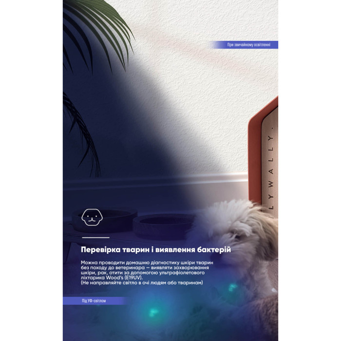 Ультрафиолетовый фонарь Wuben E19UV, черный  