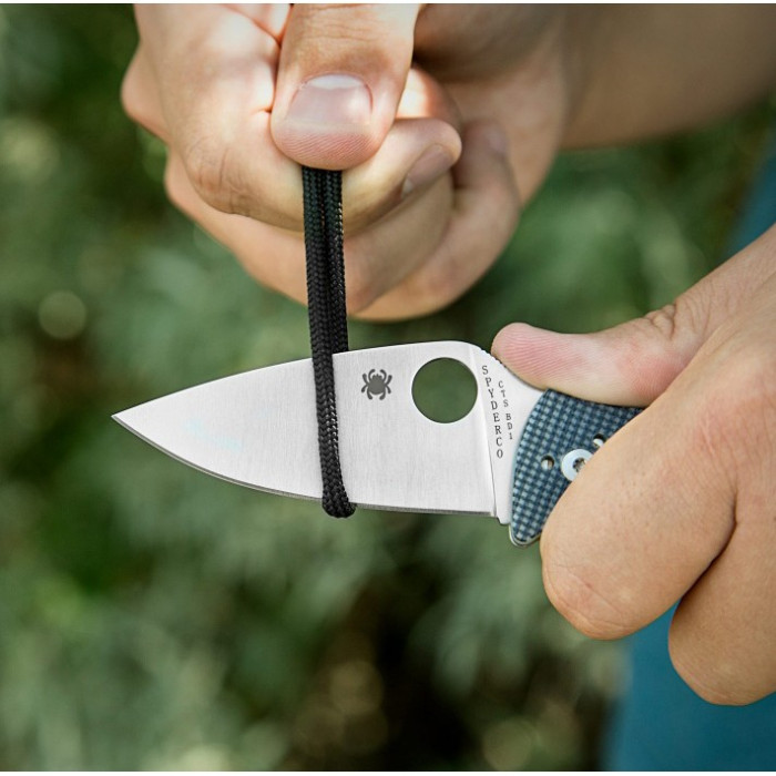 Нож Spyderco Alcyone (C222GPGY)  