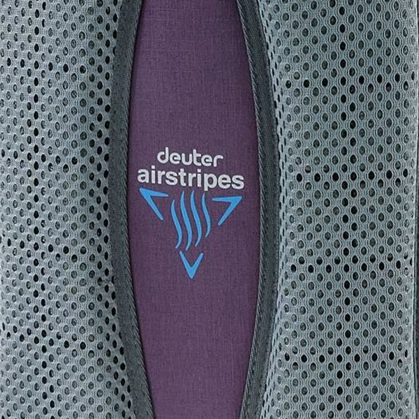 Рюкзак Deuter Walker 16 plum-navy  
