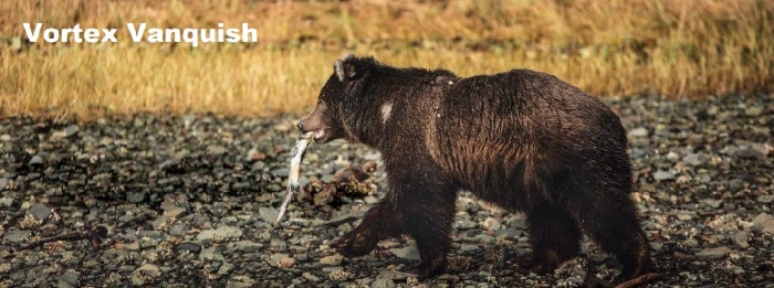 Бинокль Vortex Vanquish 8x26 WP  