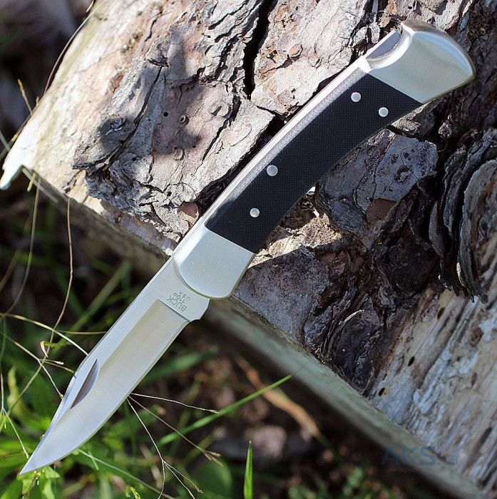 Нож Buck Folding Hunter Pro 110BKSNS1  