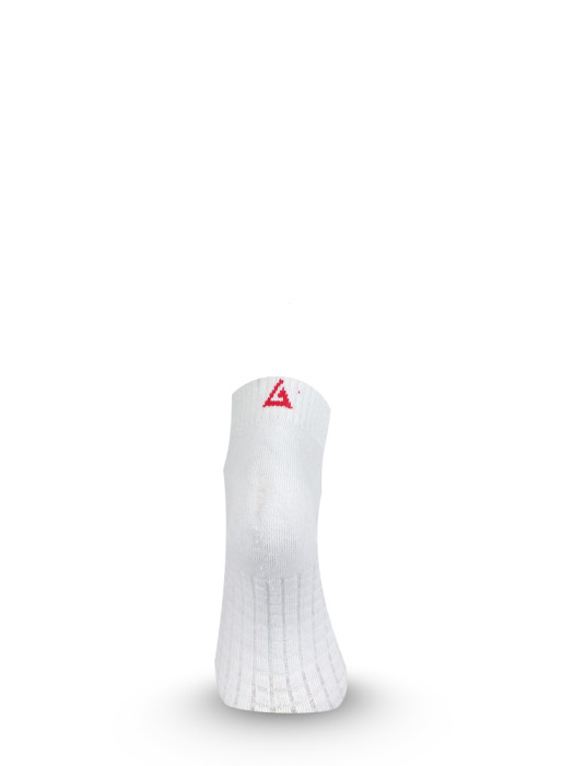 Носки Lasting TSS 001, S  