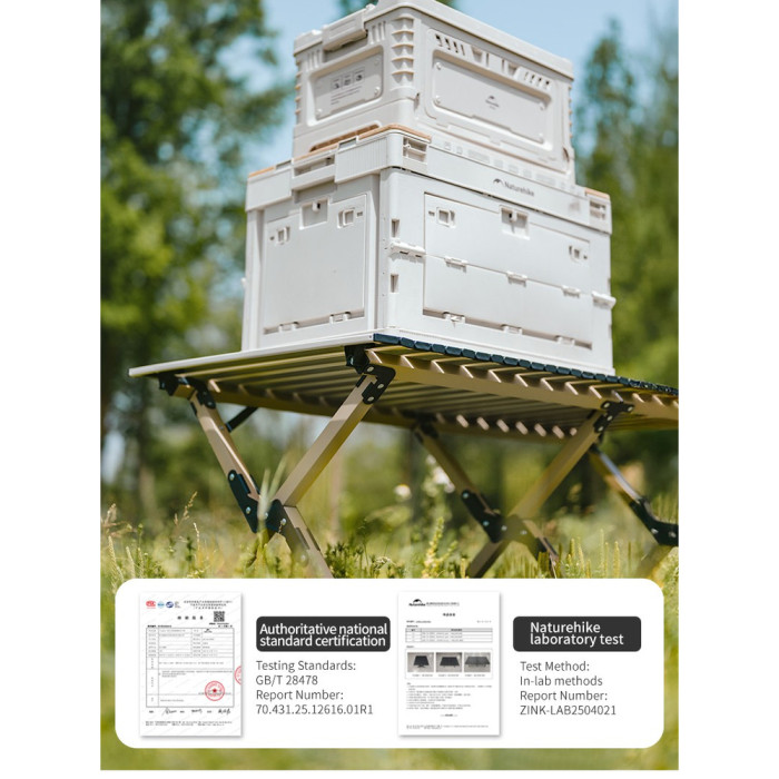 Складной стол Naturehike Star Jane T01 CNK2550JJ018, 119х60 см, углеродистая сталь, черный  