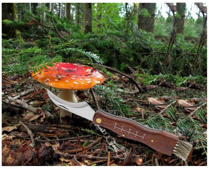 Нож грибной Rough Ryder Mushroom Knife