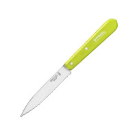 Нож кухонный Opinel №113 Serrated, Салатовый