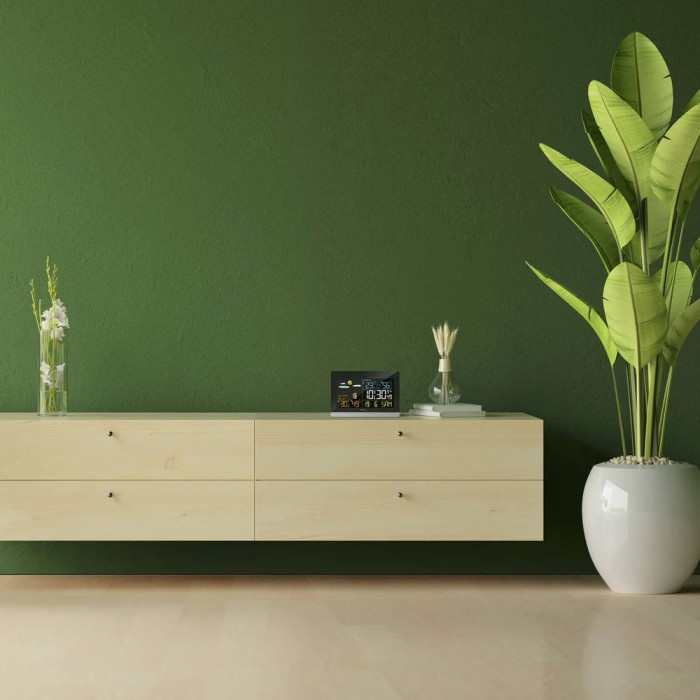 Метеостанция Technoline WS6455 Black/Silver (WS6455)  