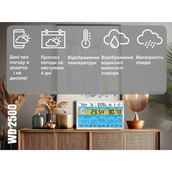 Метеостанция Technoline DirektWetter WD2500 Silver (WD2500)  