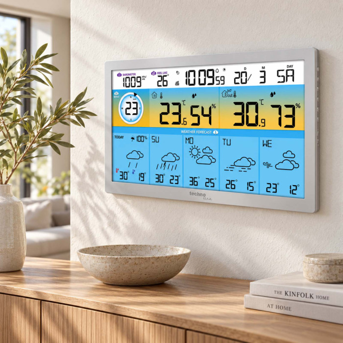 Метеостанция Technoline DirektWetter WD2500 Silver (WD2500)  