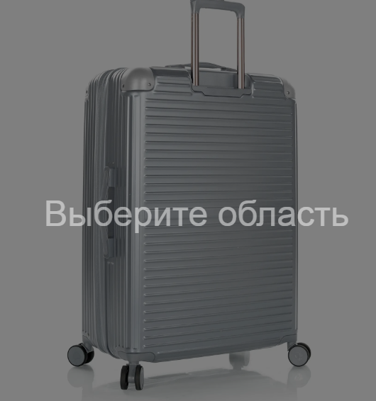 Чемодан Heys Cruze (L) Silver (10148-0002-30)  