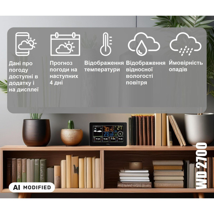 Метеостанция Technoline DirektWetter WD2700 Black (WD2700)  
