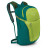 Рюкзак Osprey Daylite Plus 20 Hostas Green