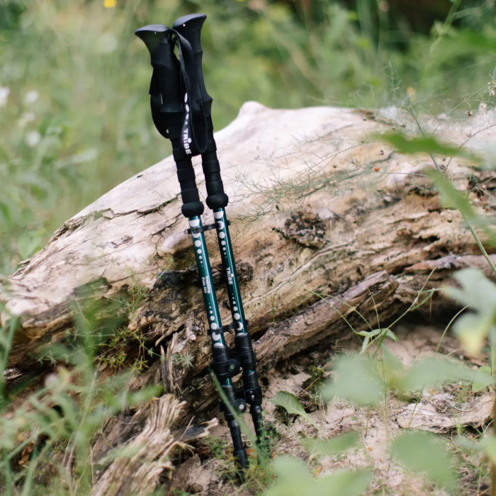 Треккинговые палки Tribe Trekking Pole Alu T-ME-0026-ocean  