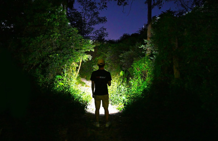 Фонарь ручной AceBeam Pokelit 2AA, черный  