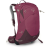 Рюкзак Osprey Sirrus 24 elderberry purple/chiru tan - O/S - бордовый