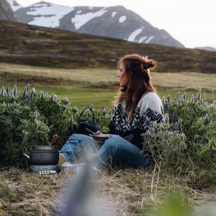 Набор посуды с газовой горелкой Trangia Stove 25-4 HA/GB (1.75/1.5 л/0.9 л)  