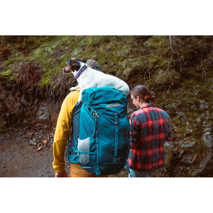 Рюкзак Pinguin Fly 30, Black (PNG 324122) 2020  