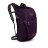 Рюкзак Osprey Daylite Plus 20 Amulet Purple