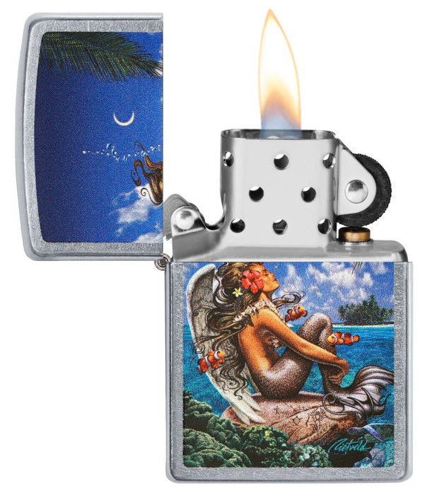 Зажигалка Zippo 207 Rick Rietveld (49688)  