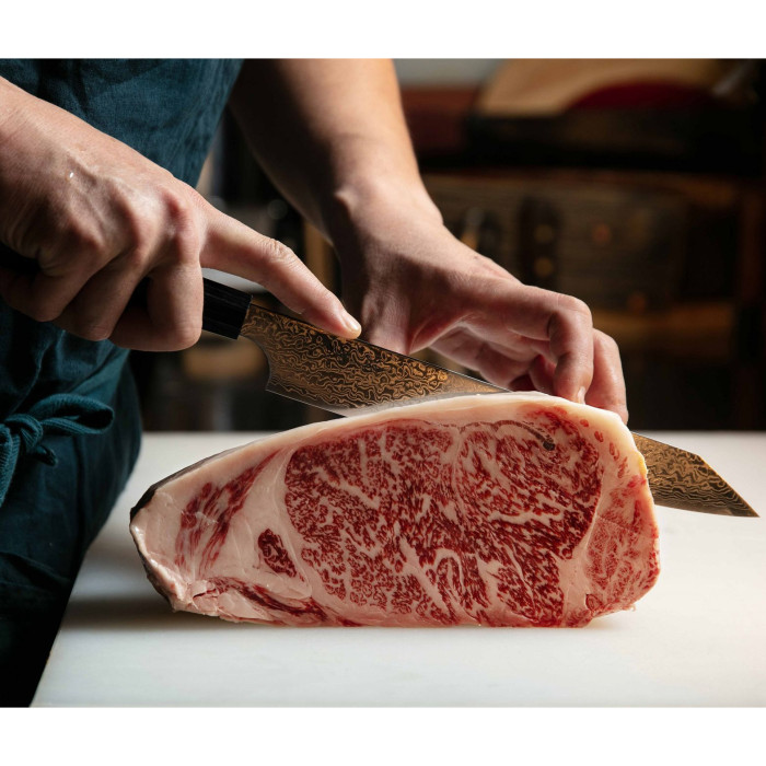 Нож кухонный Kanetsugu Zuiun Chef's Knife 210mm (9305)  