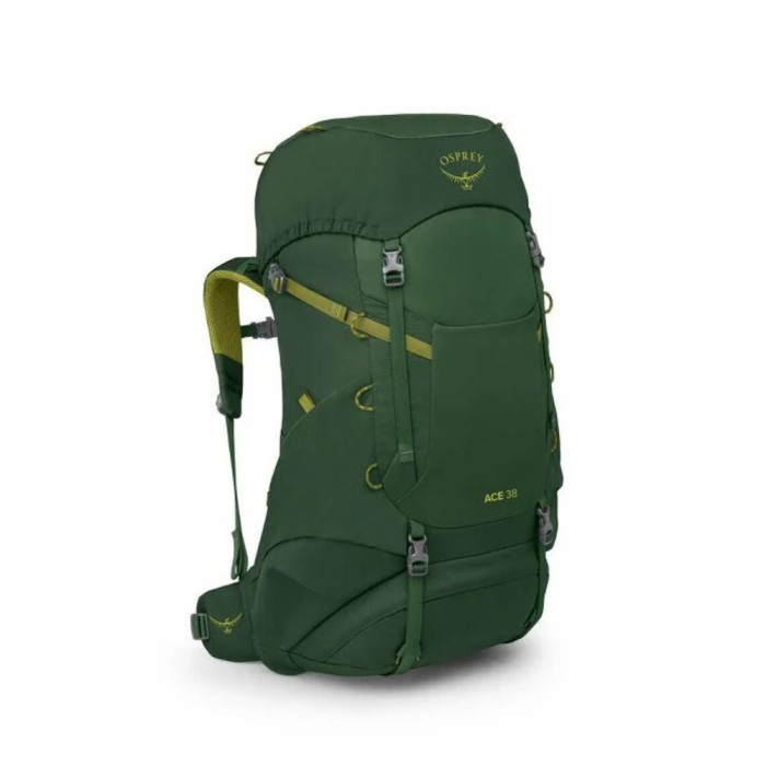 Рюкзак Osprey Ace 38 green canopy - O/S - зеленый  