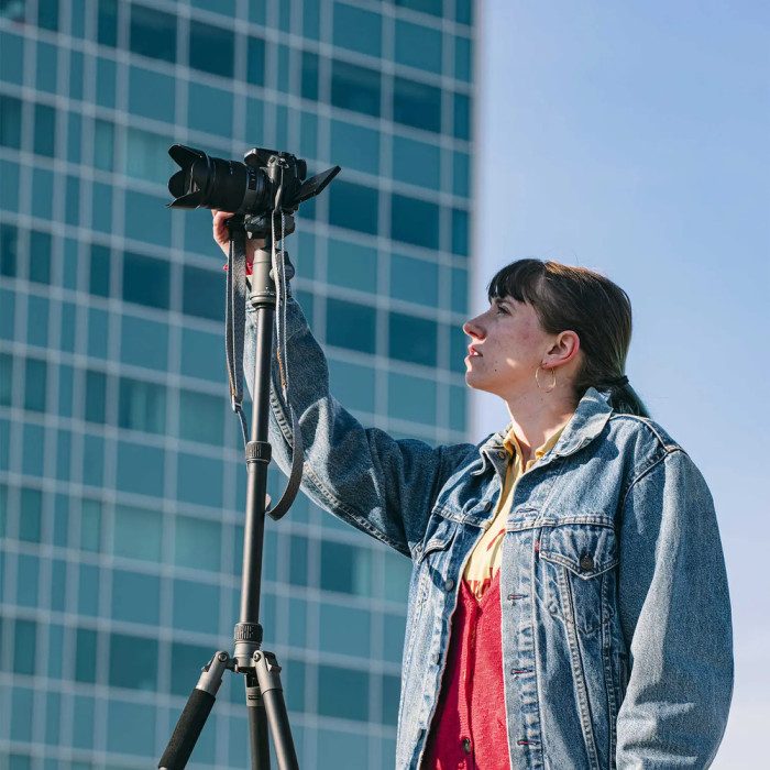 Штатив Vanguard VEO 3GO 265HAB (VEO 3GO 265HAB)  