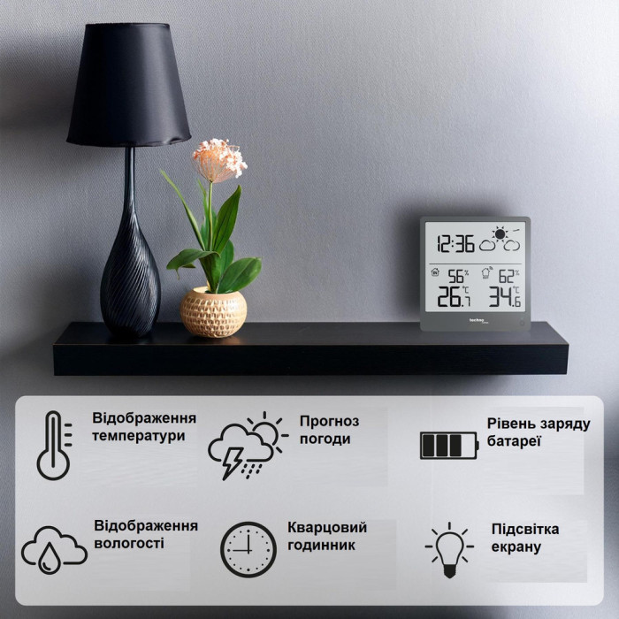 Метеостанция Technoline WS9138 Graphite (WS9138)  