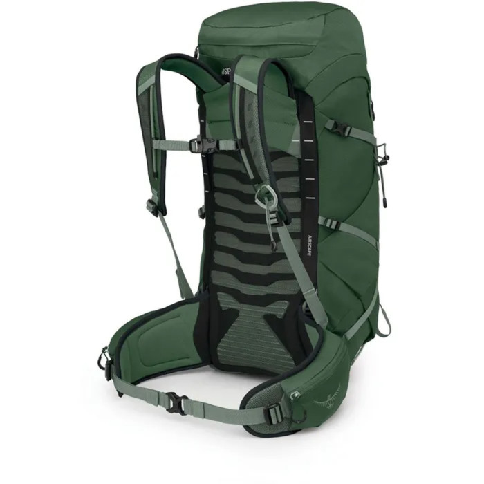 Рюкзак Osprey Talon 33 green canopy/pine leaf - O/S - зеленый  
