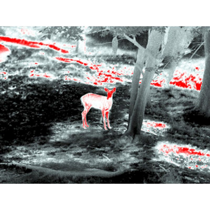 Тепловизионный прицел Guide TS435 2.3-9.2x35 400x300. 2400м  