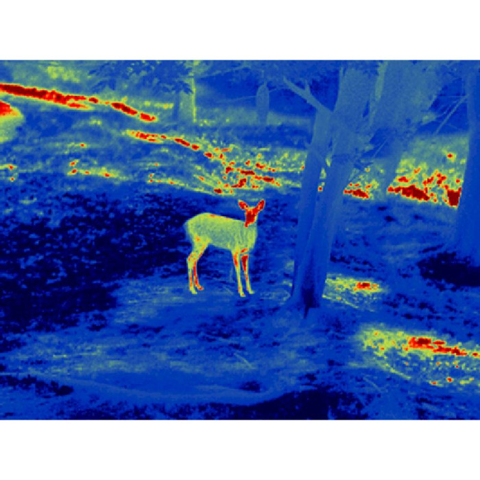 Тепловизионный прицел Guide TS435 2.3-9.2x35 400x300. 2400м  